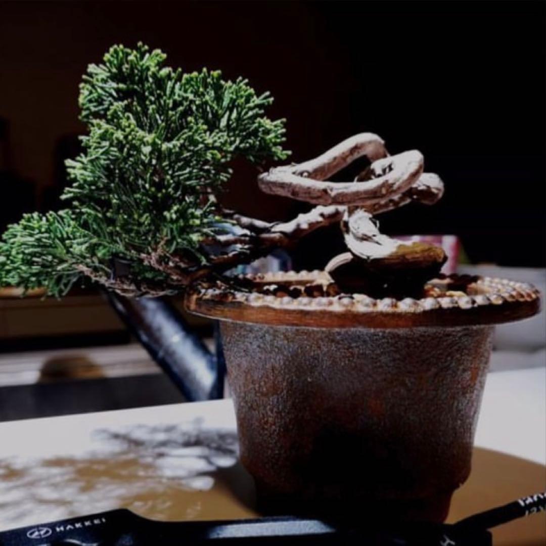 南部鉄器】JIBLANT ジブラント 植木鉢 南部鉄鉢 ARARE 白金色