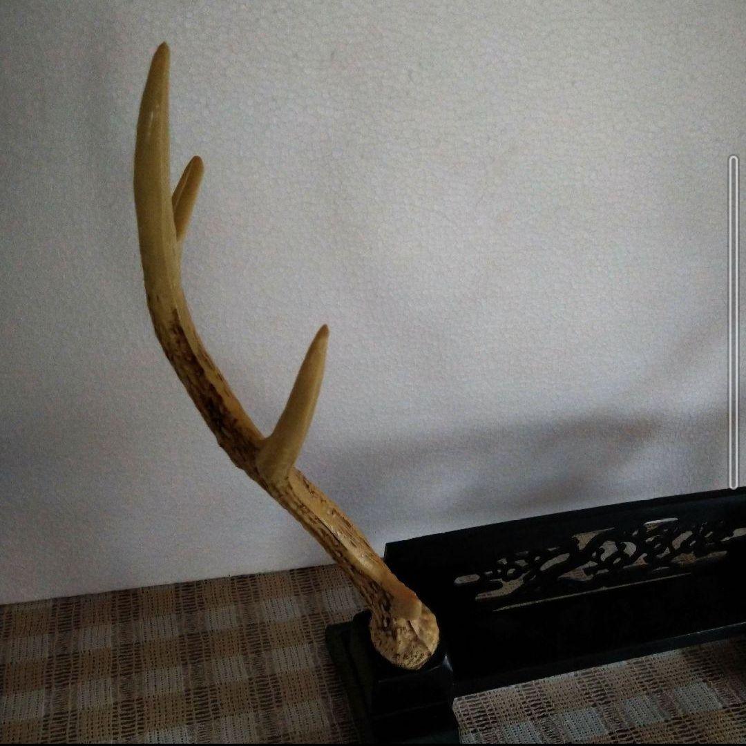 鹿の角 刀掛け台 刀置き台 二本掛け 飾り台 装飾品 - メルカリ