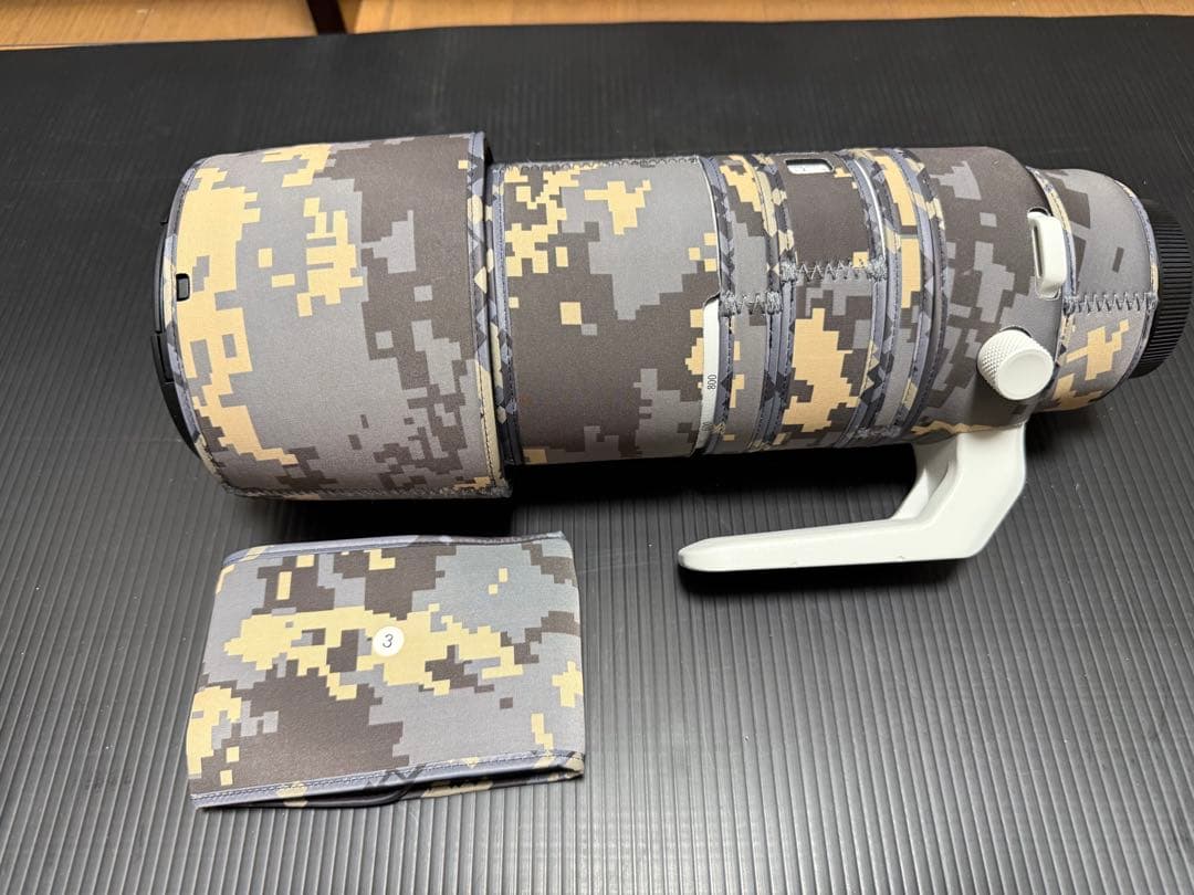 レンズ(ズーム) Canon RF 200-800 F6.3-9 IS USM