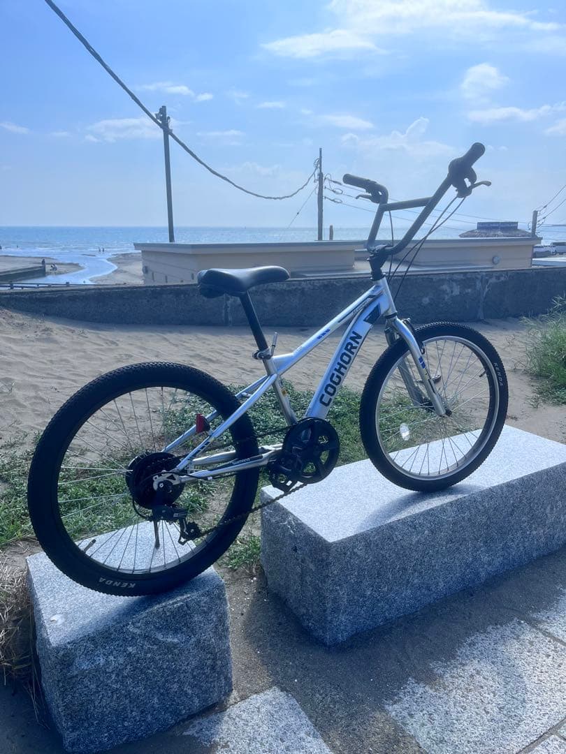 伊佐祐毅 さん専用COCHORN BMX 22インチ