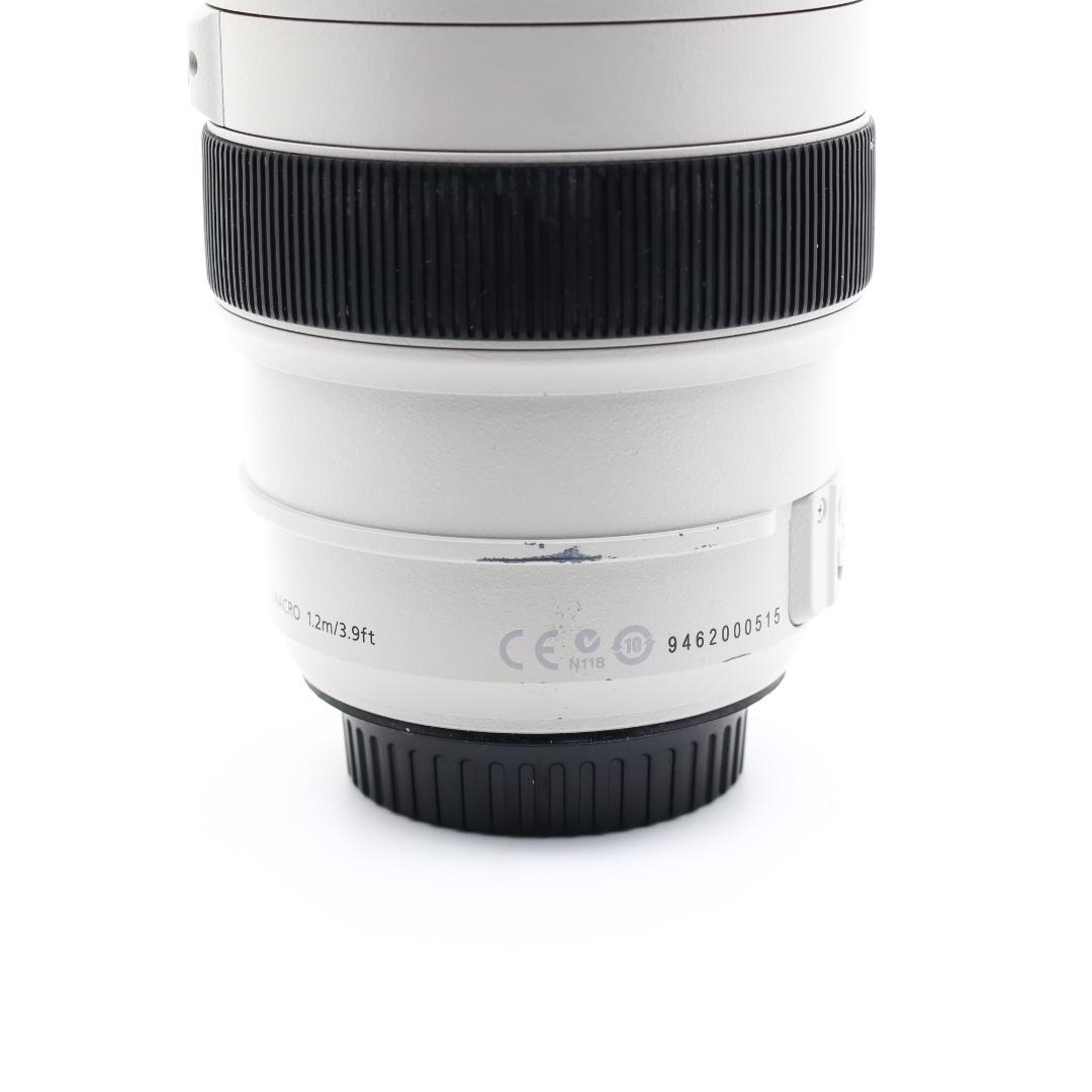 ■完動品 Canon EF 70-300mm F4.5-5.6 L IS USM