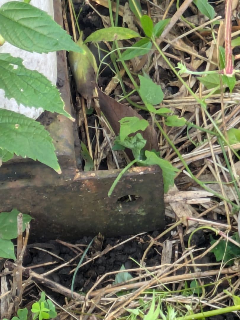 埼玉引取限定】そのまま開業も☆中古☆プレハブ - メルカリ