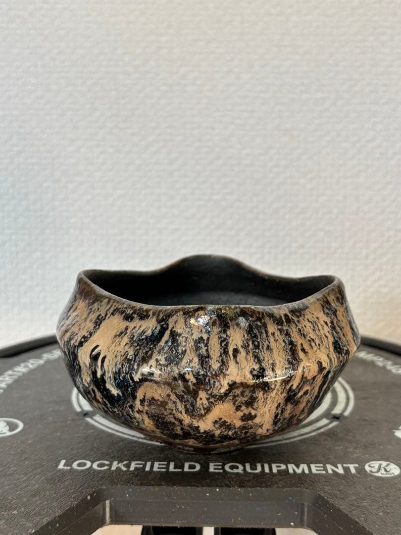 谷井直人 陶器鉢 spicygem Artistline 鶴仙園 希少 コラボ spicygem