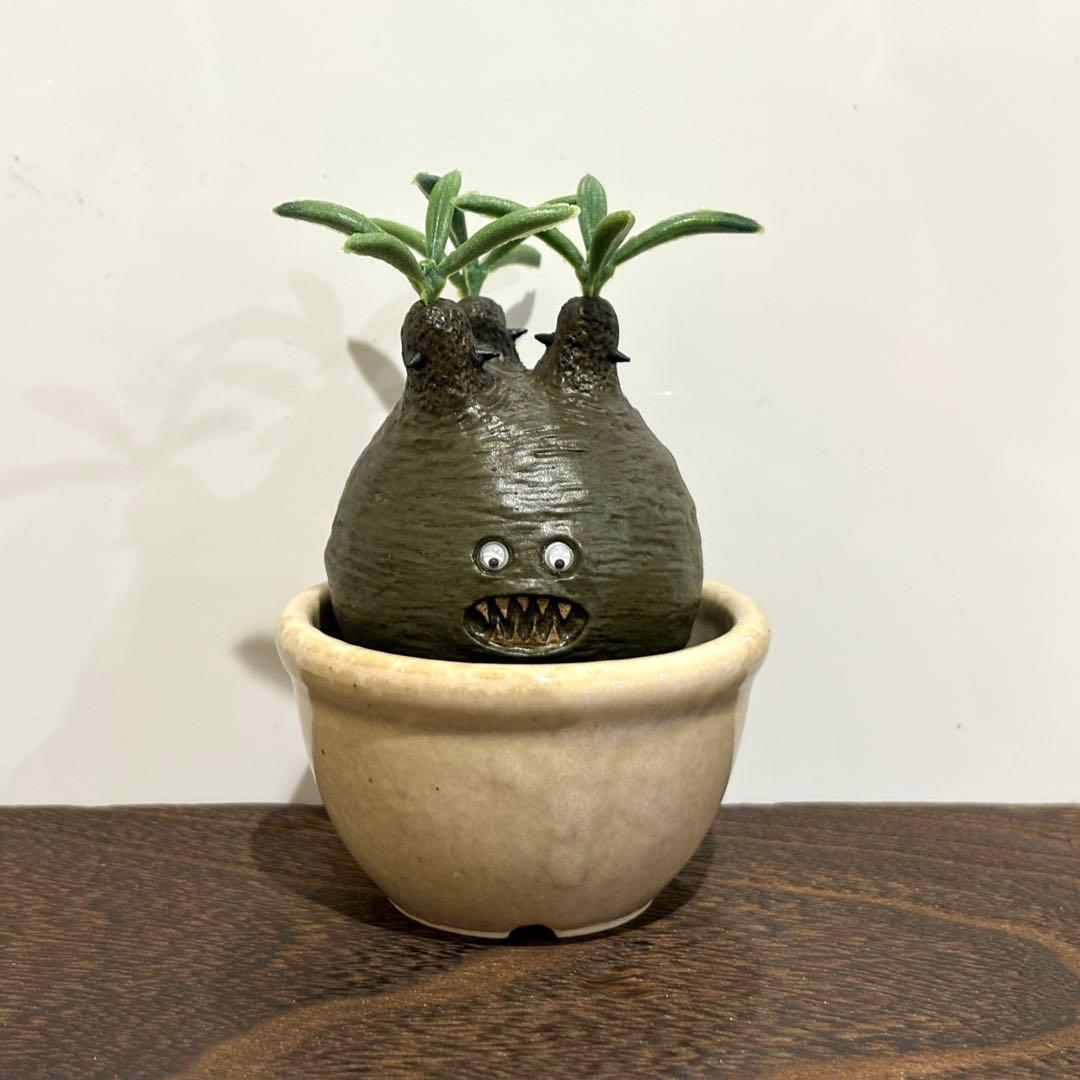 パキポディウム グラキリス型フィギュア「Grazombie」/塊根植物 珍奇