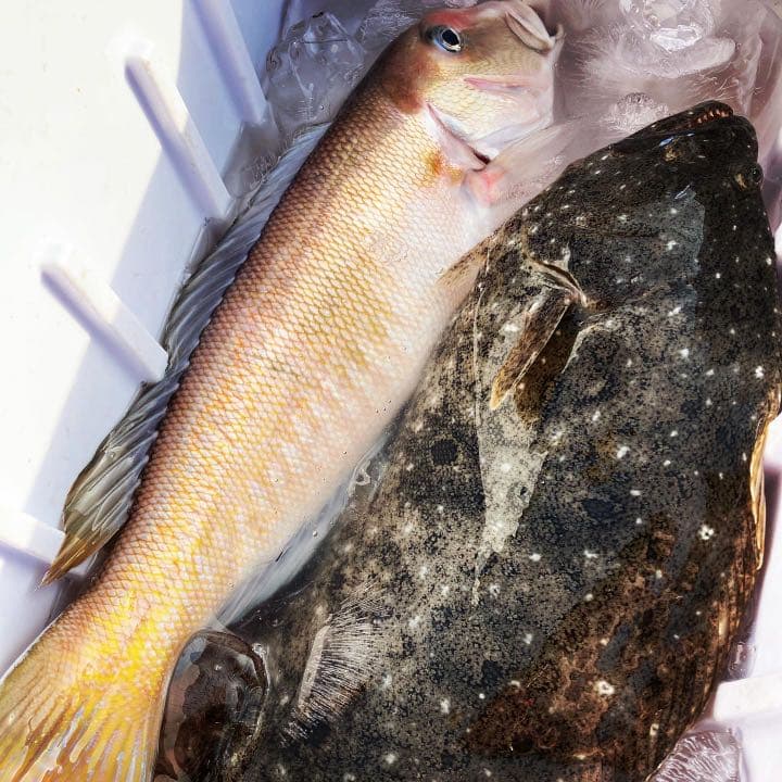 甘鯛延縄・新品 - メルカリ