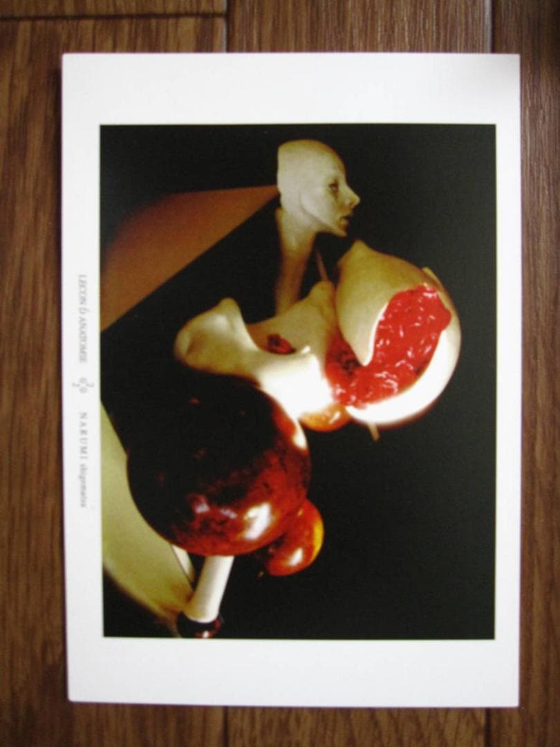 解剖学の授業 Lecon de Anatomie　重松成美