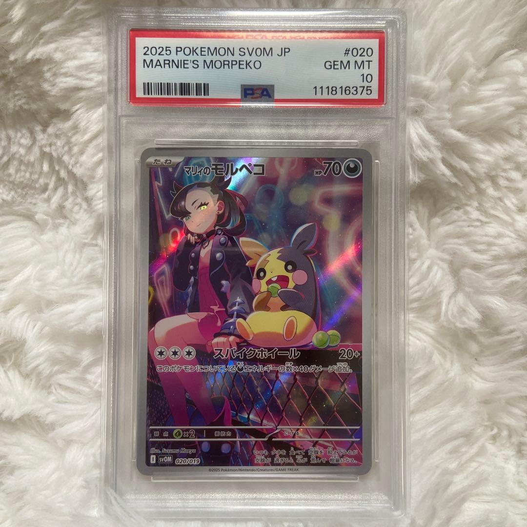 『PSA10』マリィのモルペコ AR 状態難/PSA10鑑定済〕マリィのモルペコ(AR仕様)【-】{020/019}