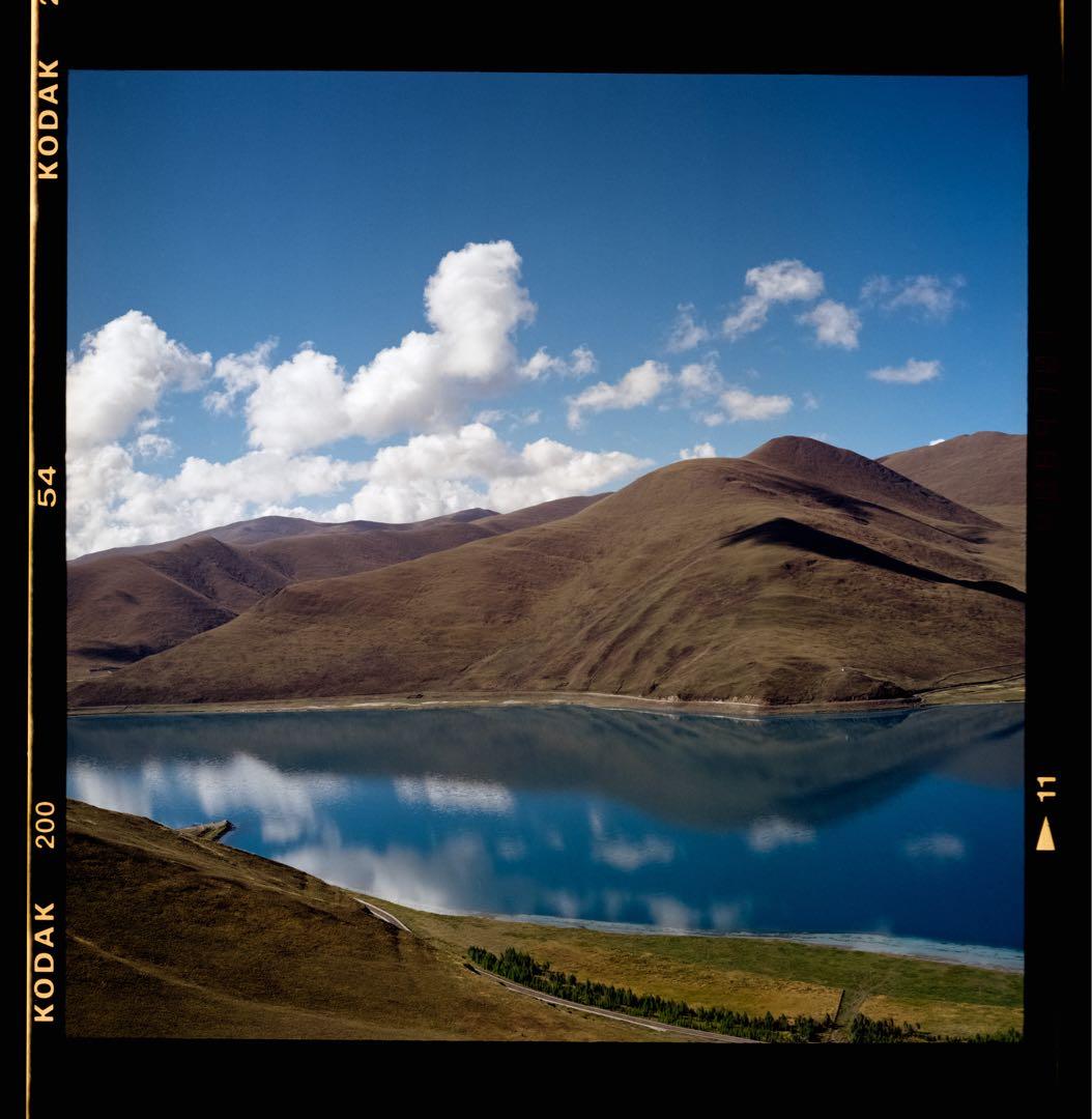 Rolleiflex 2.8E Xenotar 整備済 作例あり