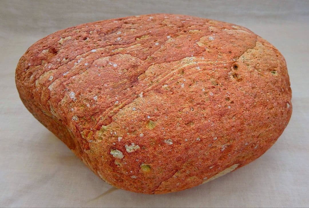 超レア!!姫川薬石赤虎(14)