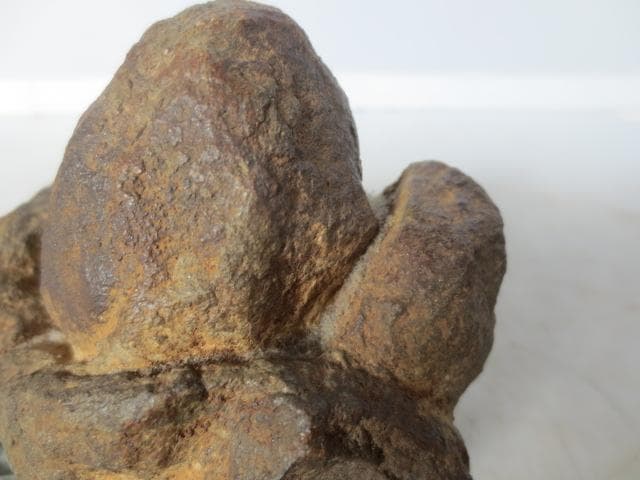 R8/2/2 鞍馬石　天狗のたまご　本鞍馬石 　水石