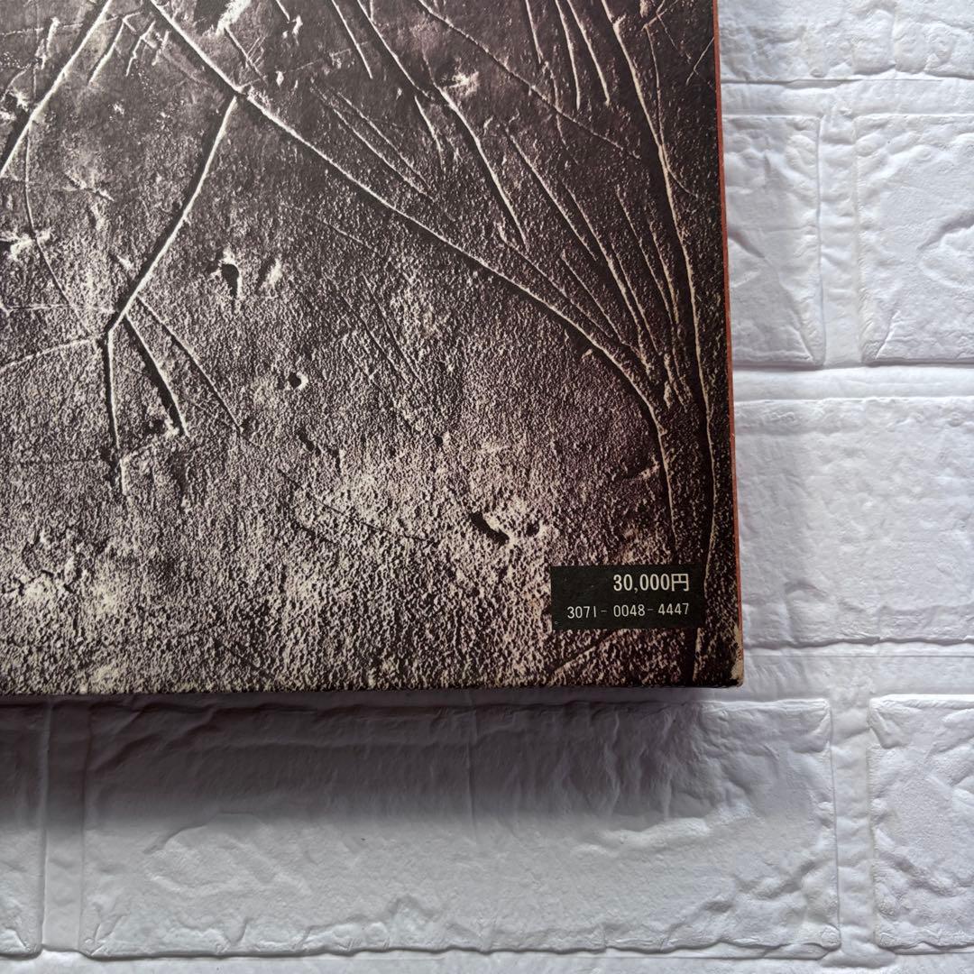 初版◇装飾古墳 榊晃弘写真集 泰流社 - メルカリ