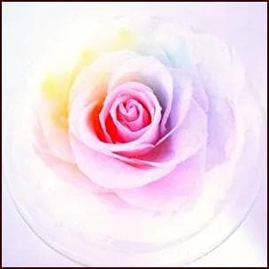 高級プリザーブドフラワー】大輪パステルレインボーローズ ガラス