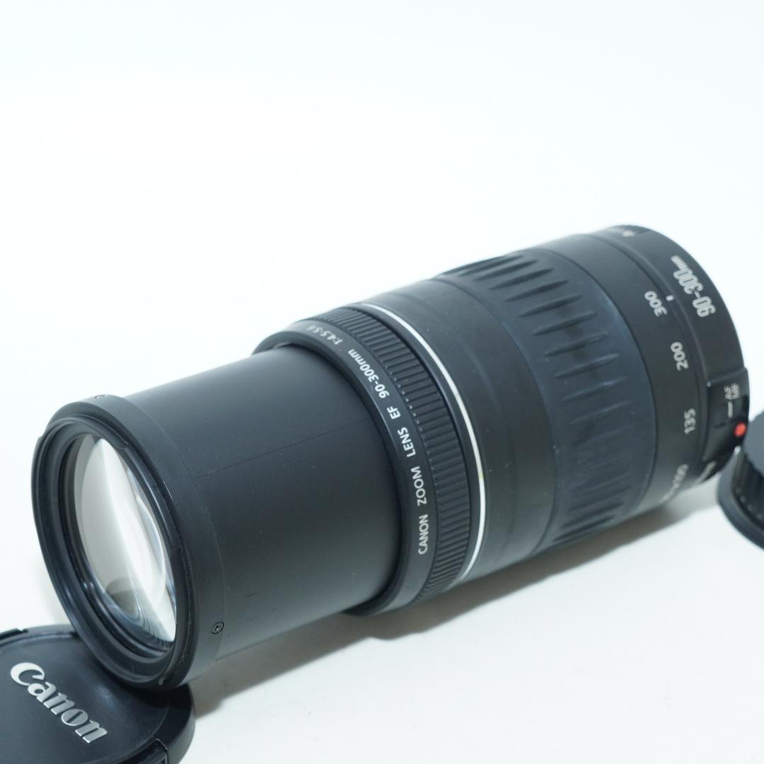 超望遠レンズで狙い撃ち★キャノン★EF 90-300mm 4.5-5.6 Amazon.co.jp: Canon EF 90-300mm F4.5-5.6 USM : 家電＆カメラ