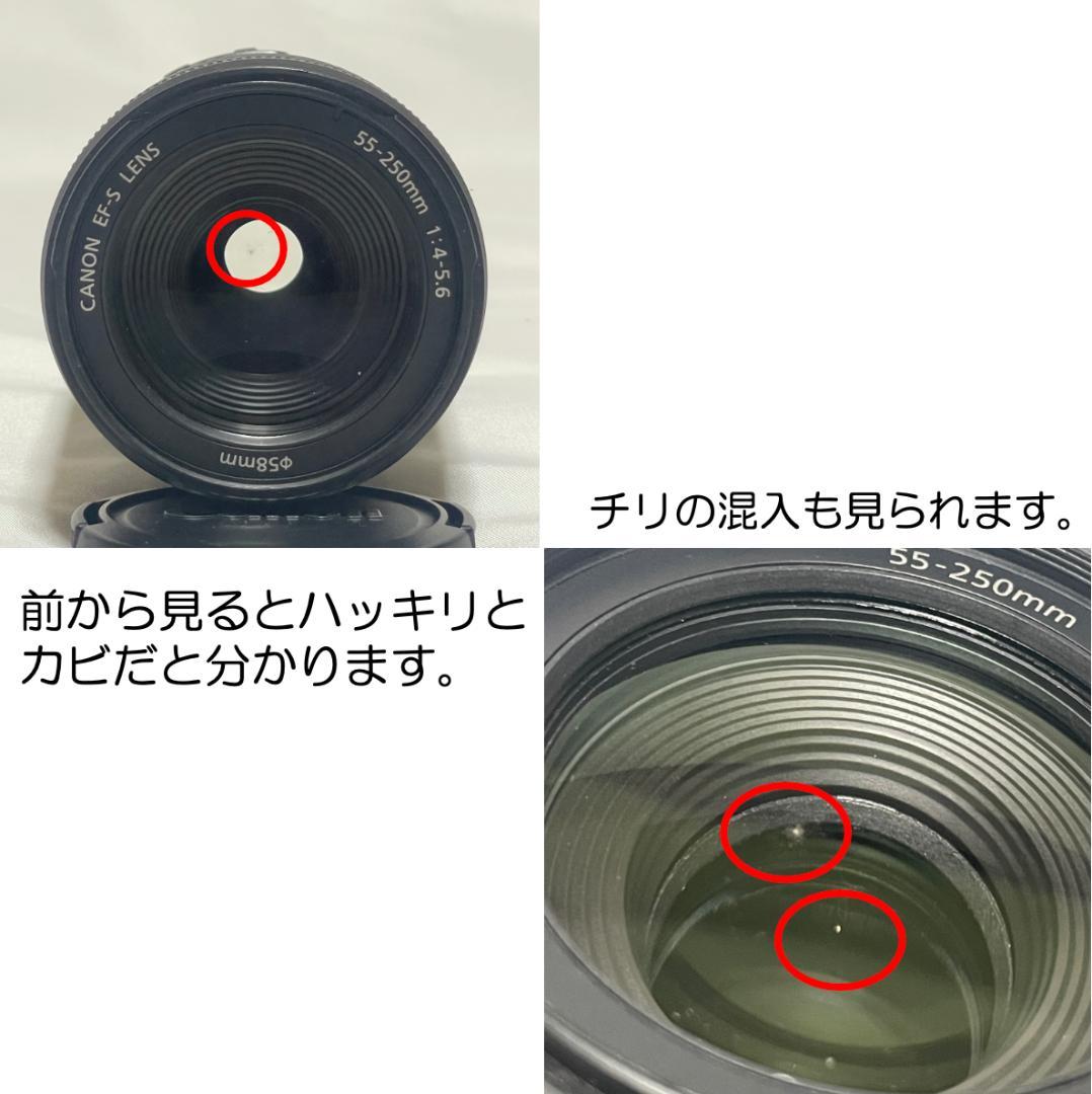 現状撮影OK❣️ Canon EF-S 55-250mm f/4-5.6 IS