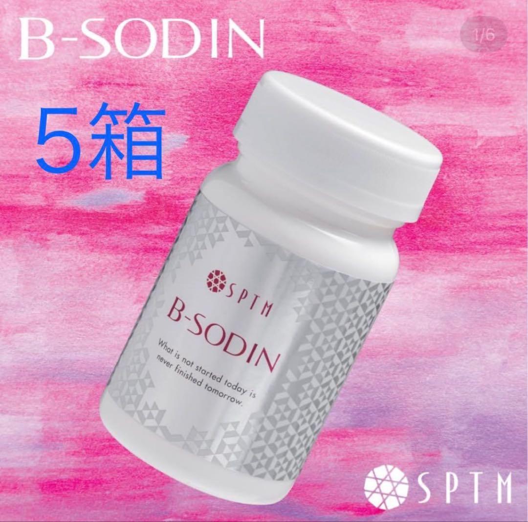 新品未使用 SPTMセプテム ビーソディン60粒x5箱(2028.10) - メルカリ