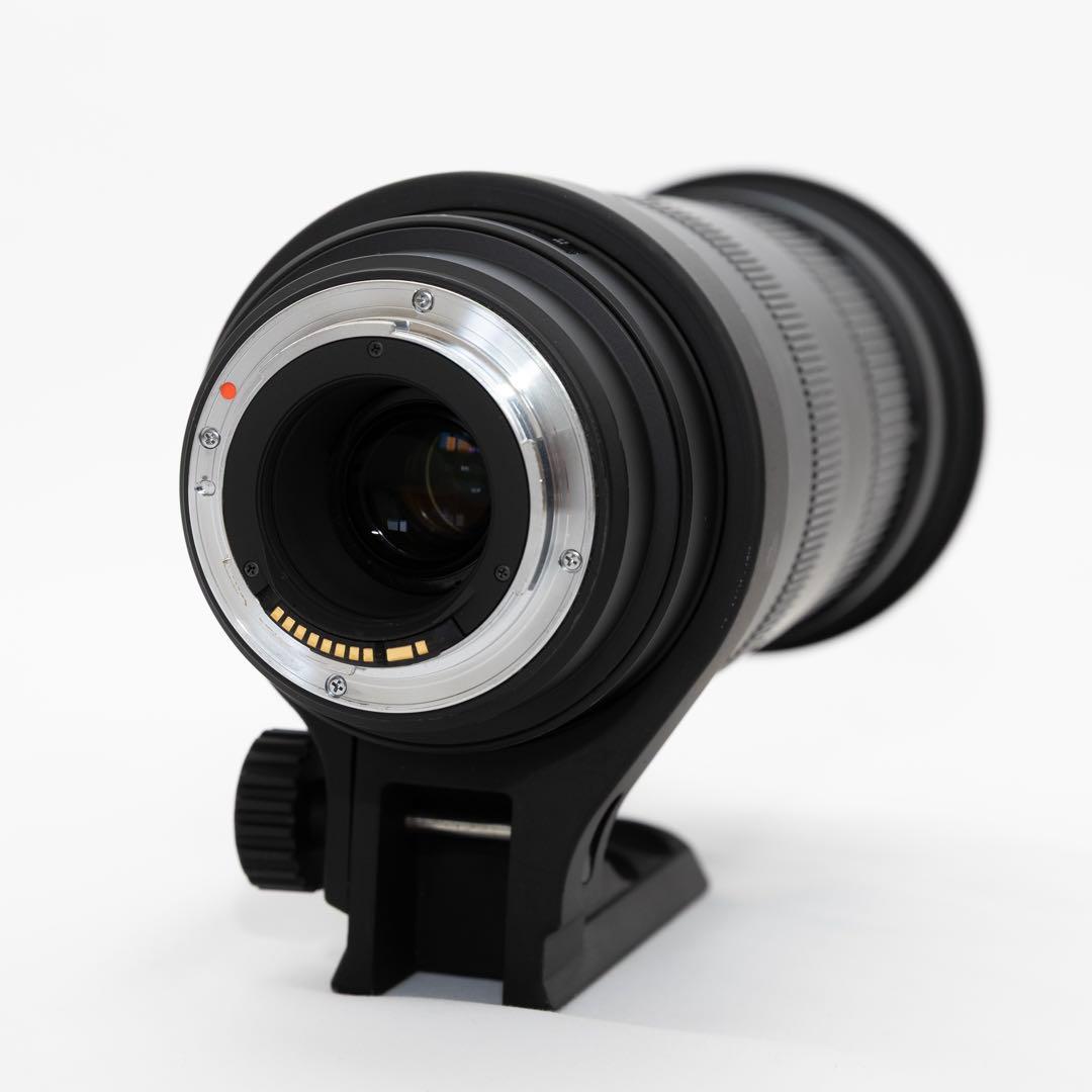 SIGMA DG 50-500mm F4.5-6.3 APO HSM キヤノン用