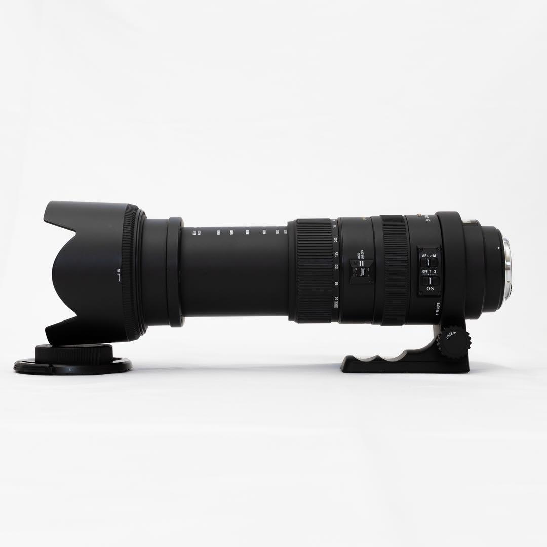 SIGMA DG 50-500mm F4.5-6.3 APO HSM キヤノン用