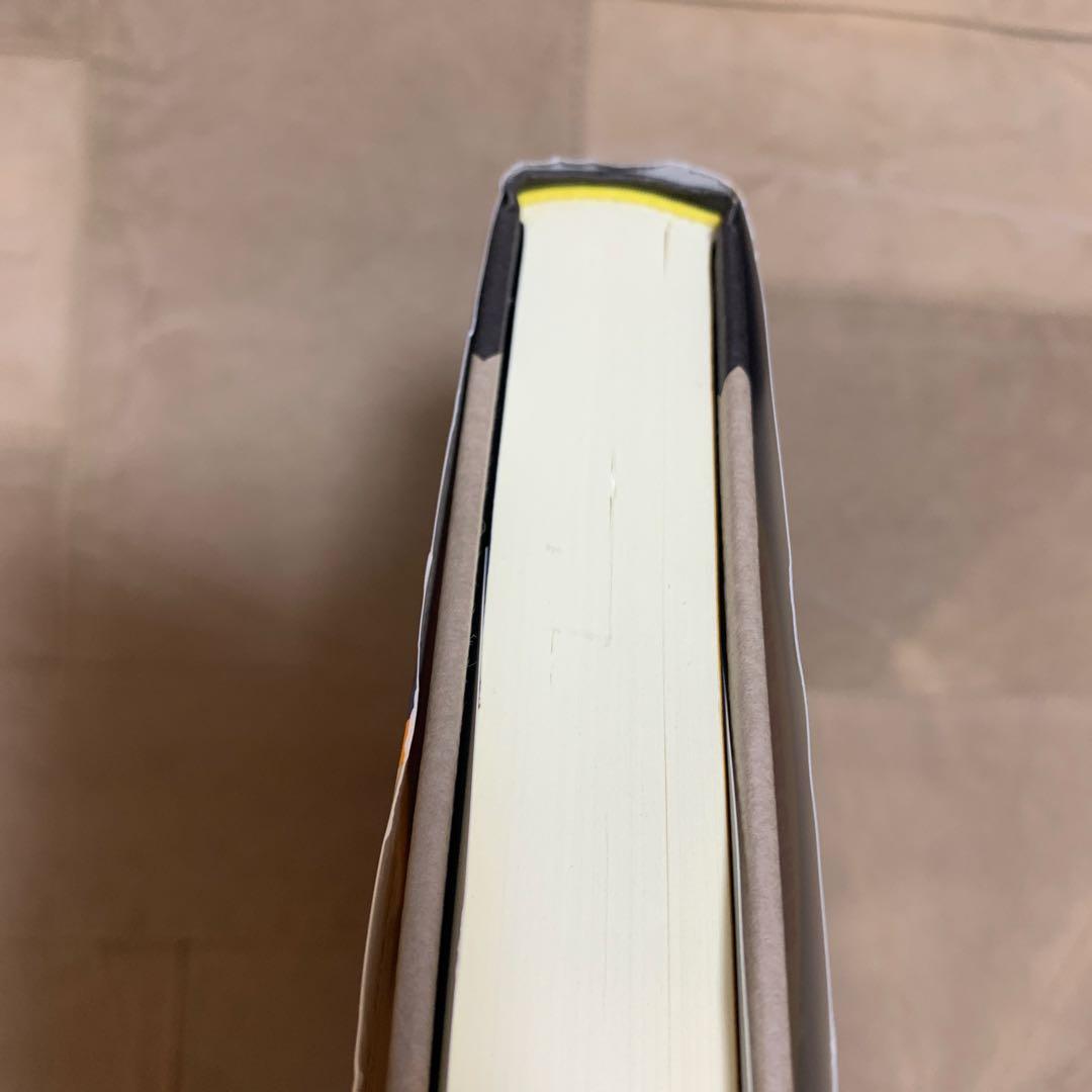 【帯あり】キリストのヨーガ: 解脱の真理・完結編／M・マクドナルド・ベイン