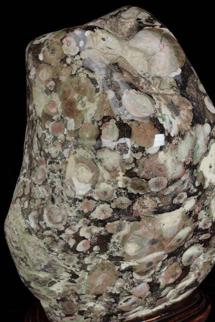 紅梅 梅花石 台付 12.1kg 鑑賞石 自然石 水石 原石 天然石 盆石 飾石