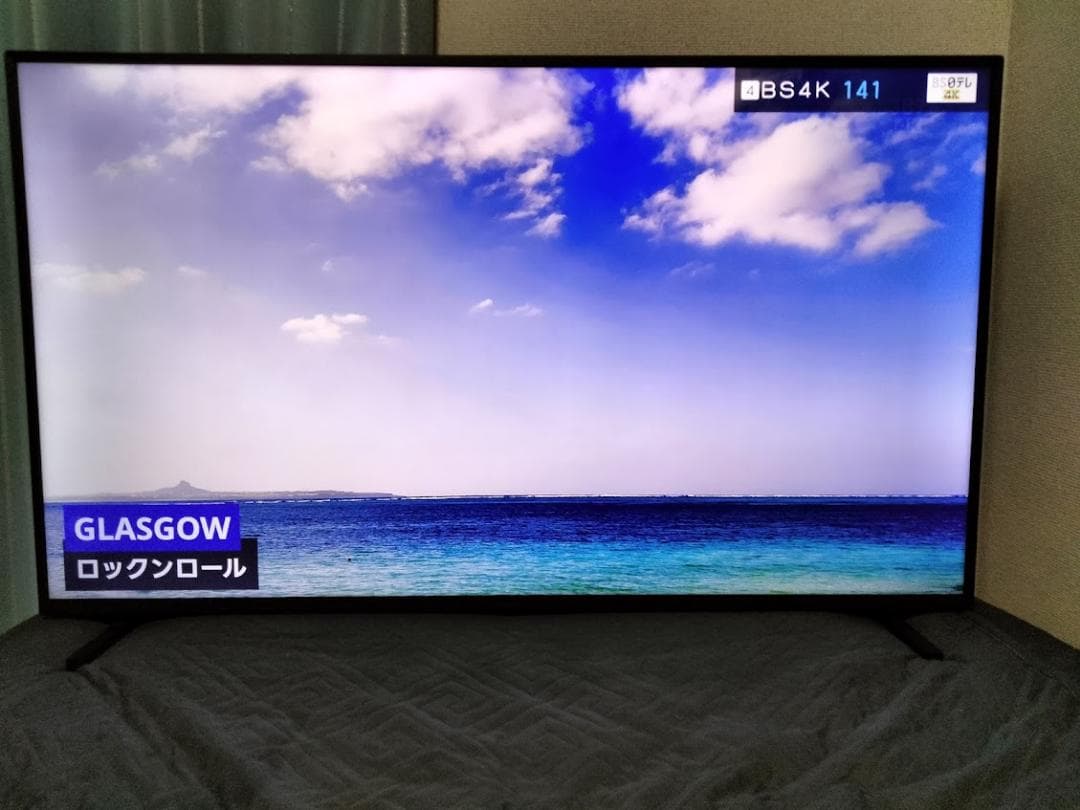 パナソニック ビエラ 横浜駅から30Km以内は無料配送 50インチ