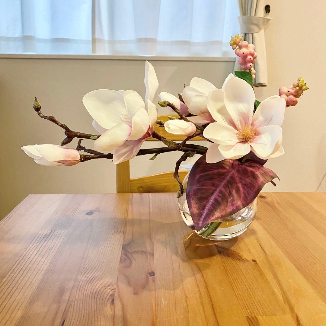 エミリオロバ マグノリア 木蓮 モクレン M23 - メルカリ