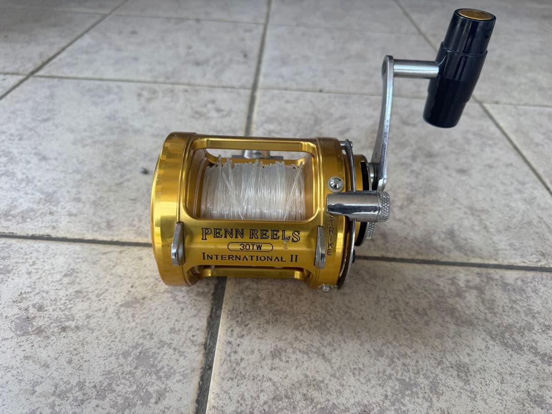 牙城クエ H ペンインターナショナル 30twセット（竿のみ可能） - メルカリ