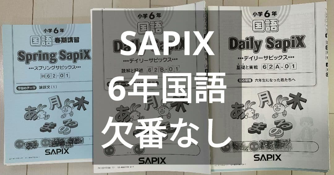 SAPIX 6年国語セット - メルカリ