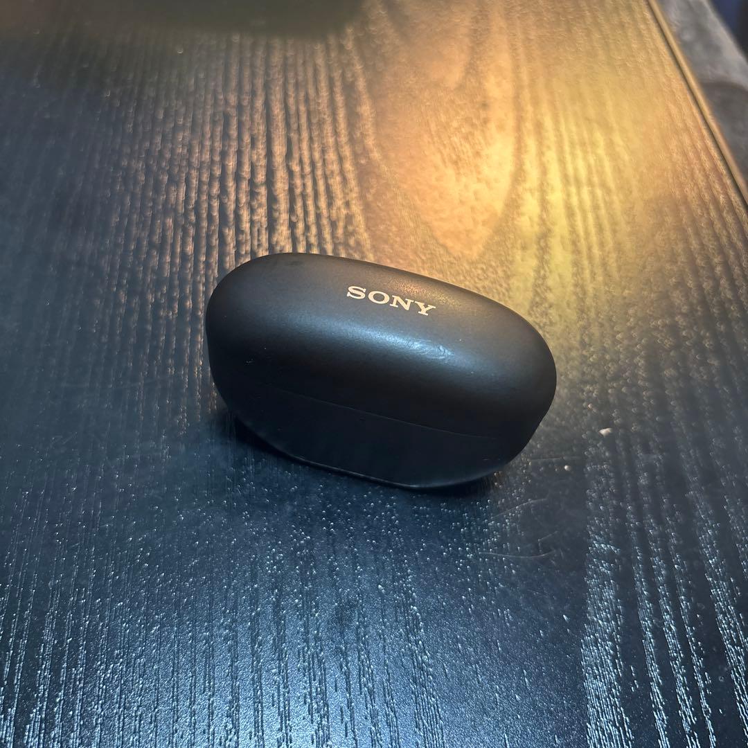 SONY WF-1000XM5 ブラック 右耳とケース imgrc0100512317.jpg