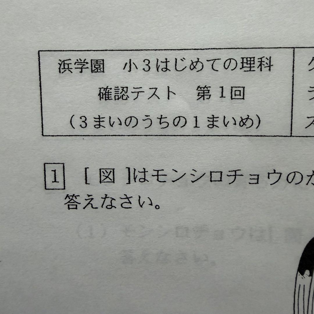 浜学園 2025年 最高レベル特訓算数 理科 社会 算数 小3 即発送 復習