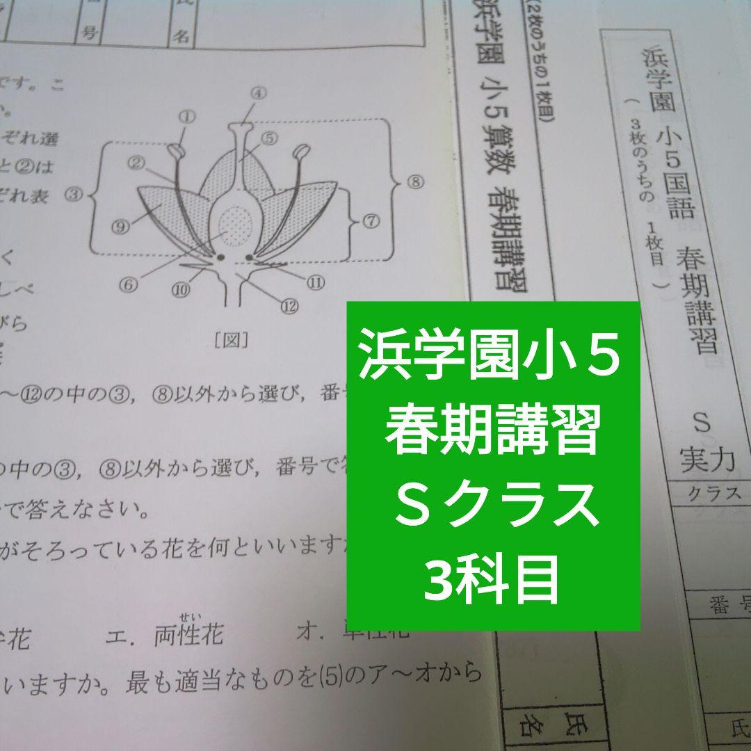 浜学園 小5 春期講習 3科目 Sクラス 実力テスト 復習テストr - メルカリ