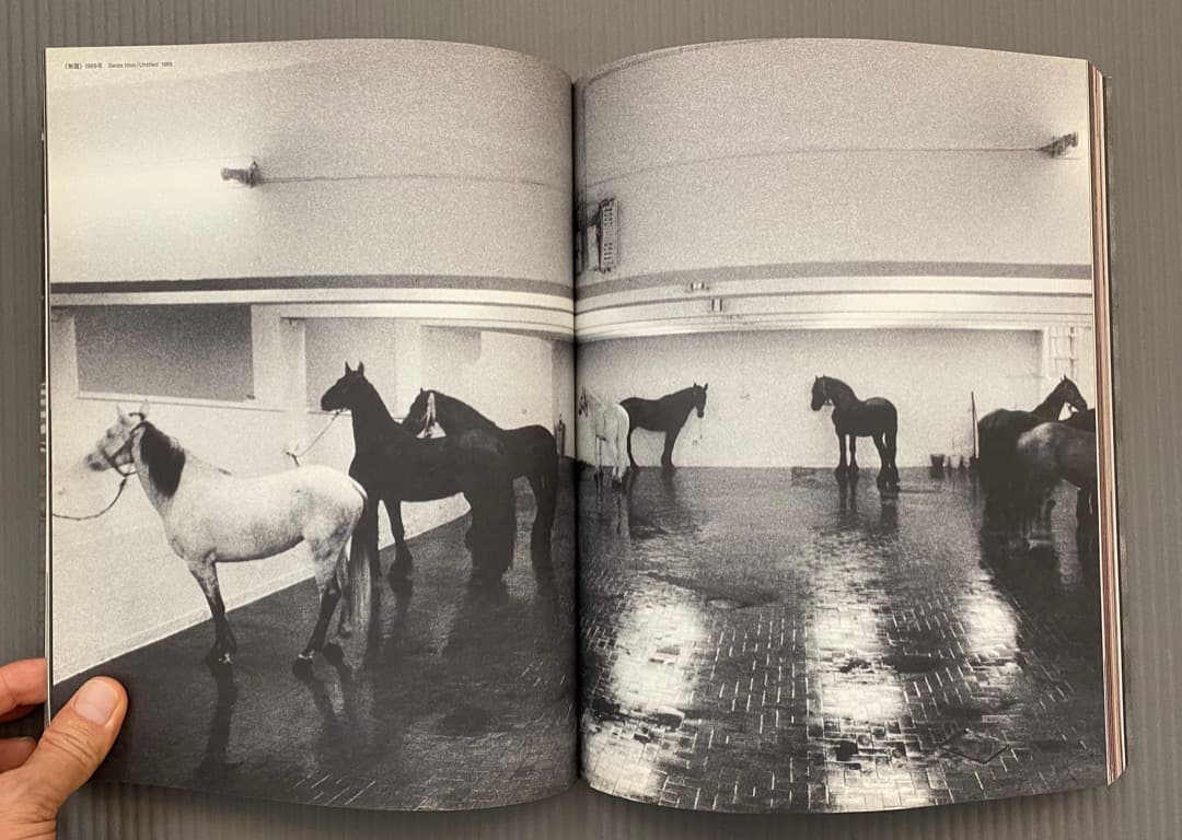 注文 「アルテ・ポーヴェラ 貧しい芸術」展カタログ、豊田市美術館、2005年