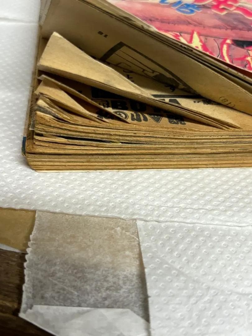 華倫変「赤い鎖骨」カラーページあり ヤングマガジン 増刊号 1995年