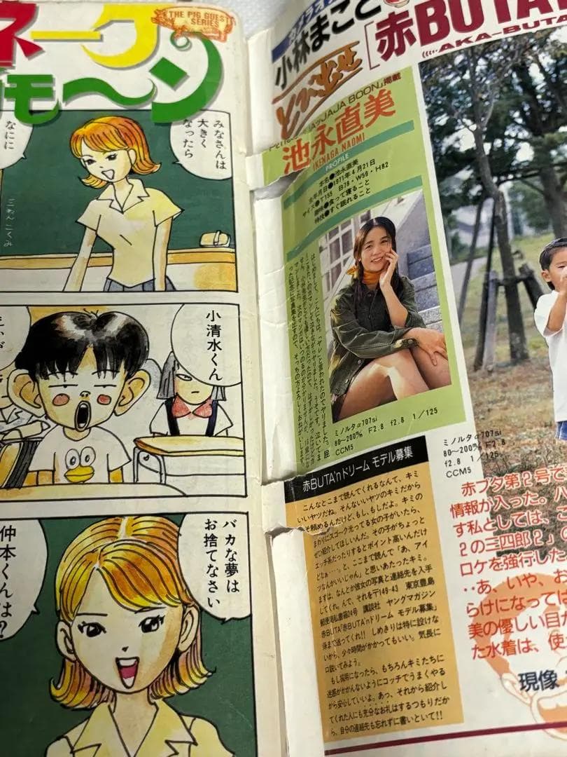 華倫変「赤い鎖骨」カラーページあり ヤングマガジン 増刊号 1995年