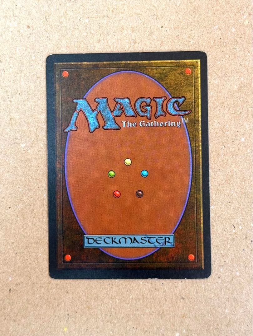 MTG Tundra フランス語 黒枠 FBB デュアルランド Toundra - メルカリ