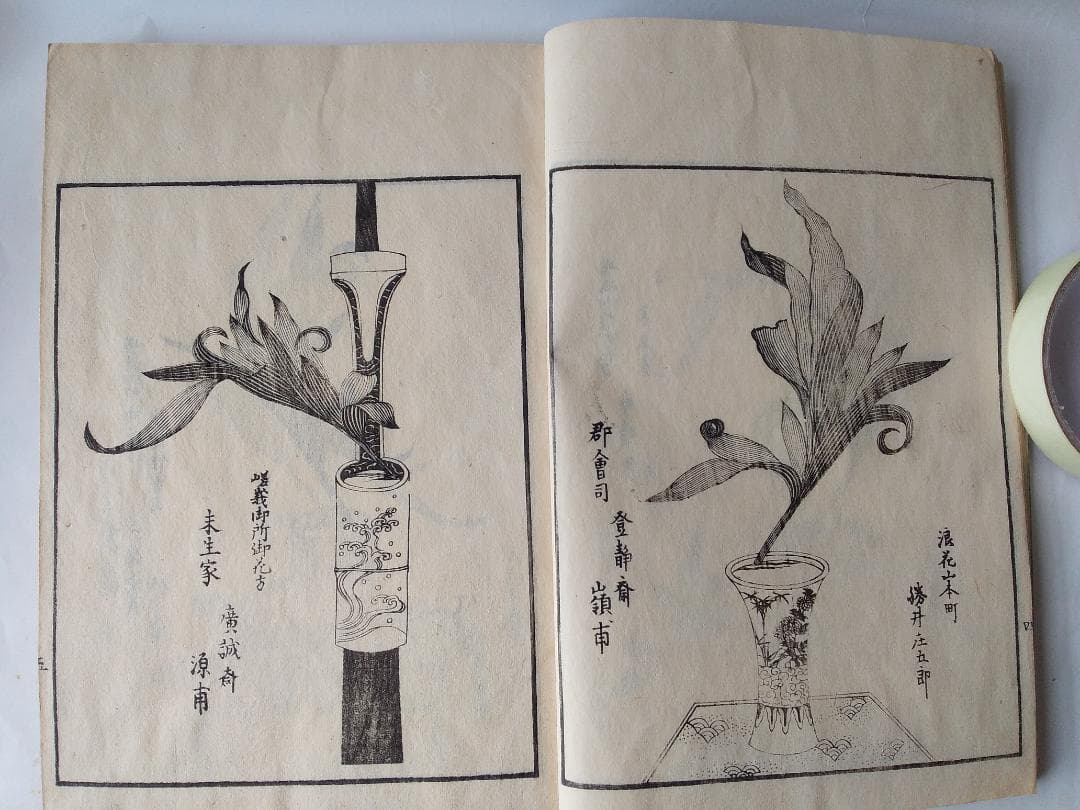 挿花 常磐艸 』未陽齋篤甫 著 花道家元未生御流