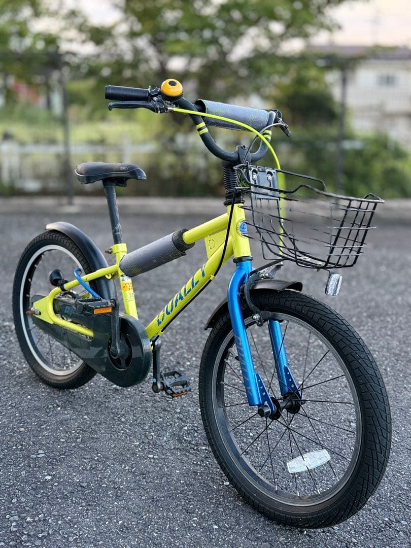 自転車本体 Dually BRIDGESTONE（ブリヂストン） 電動自転車 2025年モデル フロンティア