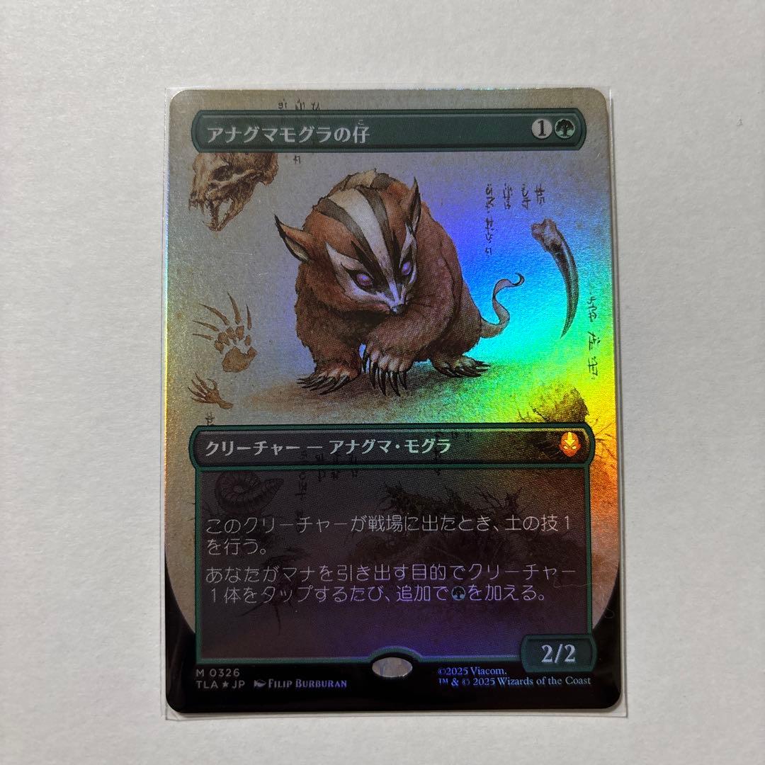 【FOIL】アナグマモグラの仔/Badgermole Cub フルアート　MTG FOIL)(フルアート)アナグマモグラの仔/Badgermole Cub《日本語》【TLA】