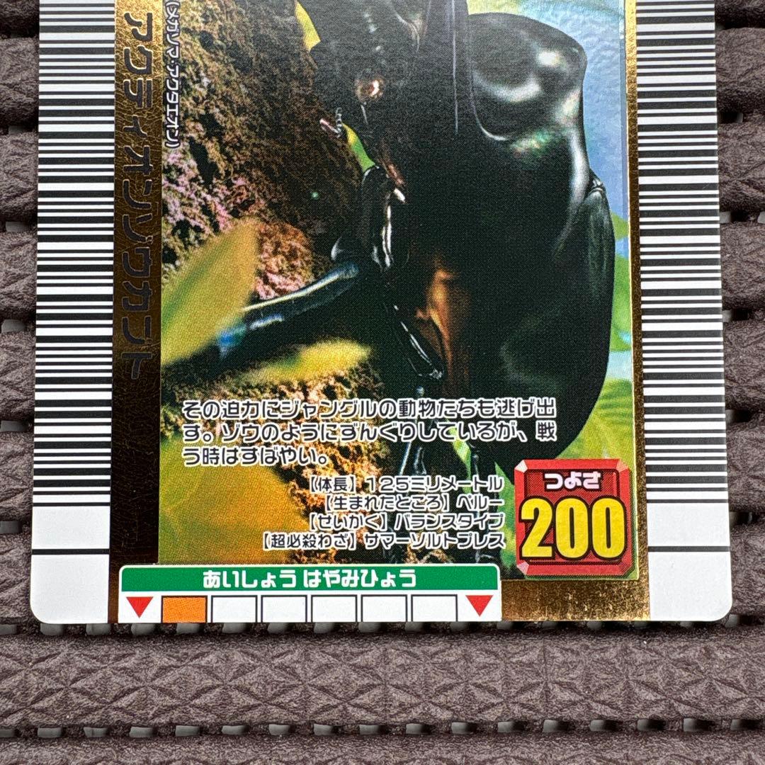 希少 アクティオンゾウカブト 2006夏ネイチャー サンプルカード