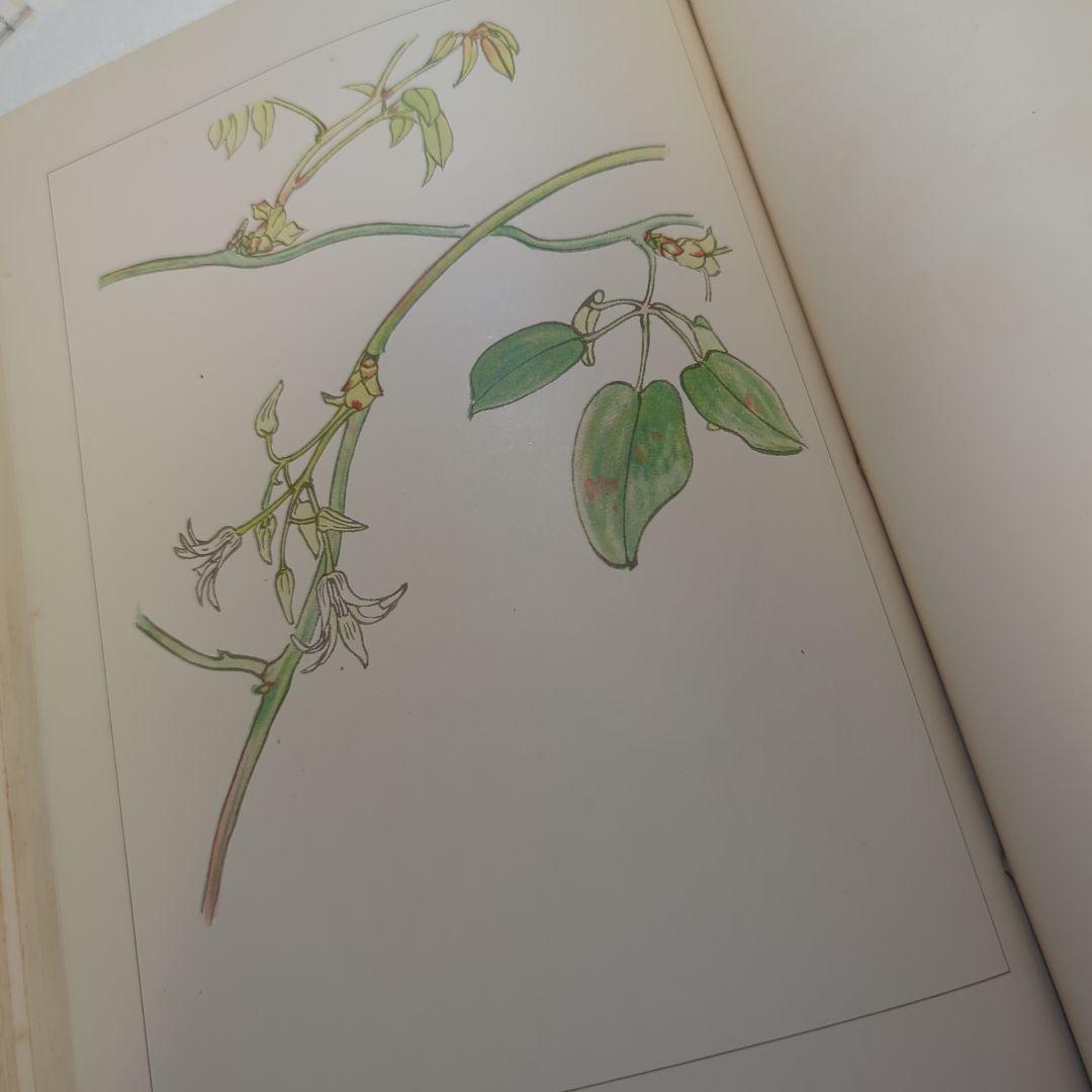 萬花図鑑正続12冊揃