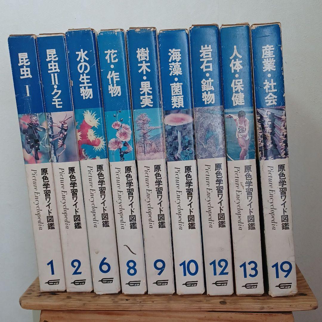 原色学習ワイド図鑑 - メルカリ