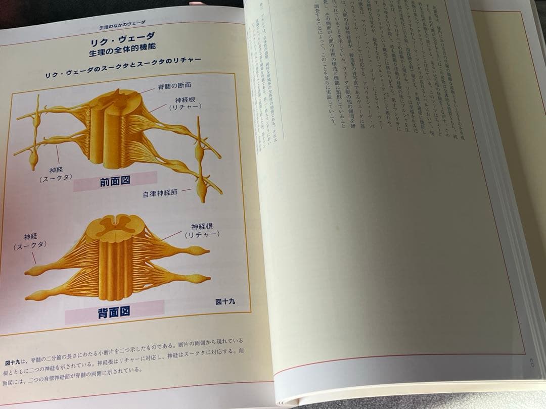 人間の生理 トニー・ネイダー著