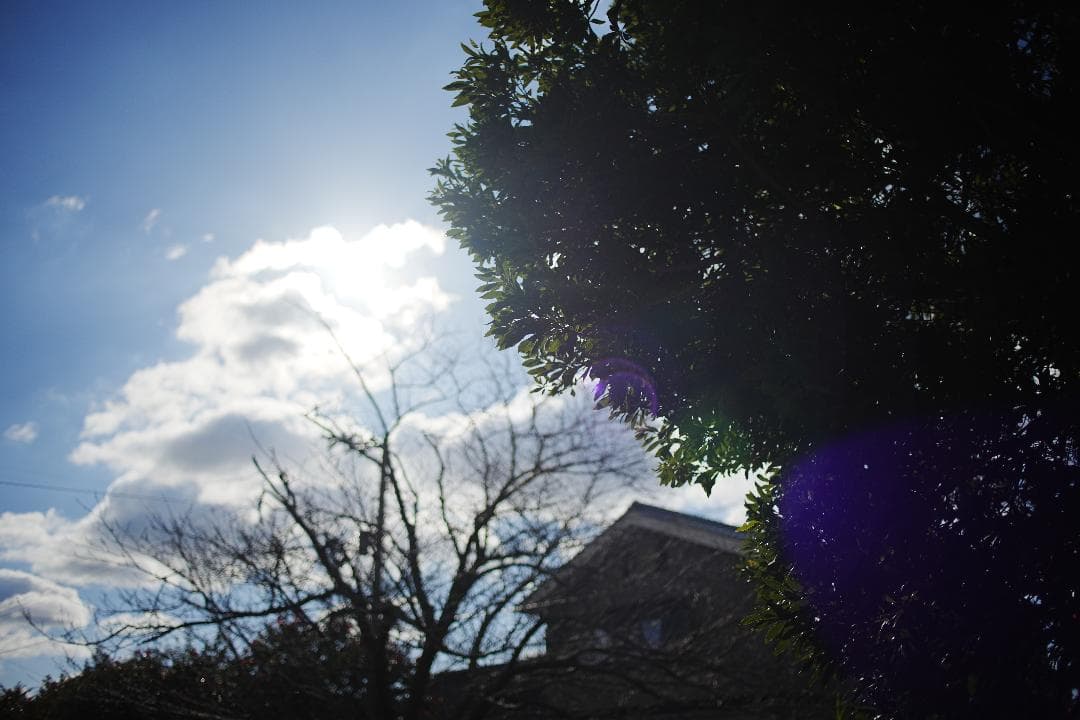 希少 Canon FD 35mm F2 SSC 凹 ○マーク 美品 164 - メルカリ