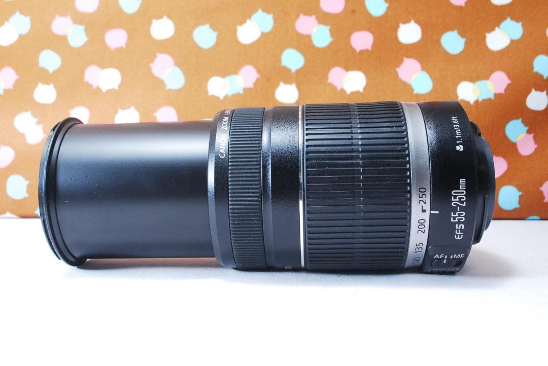 ✨手振れ補正付き望遠✨Canon EF-S 55-250mm F4-5.6 IS - メルカリ