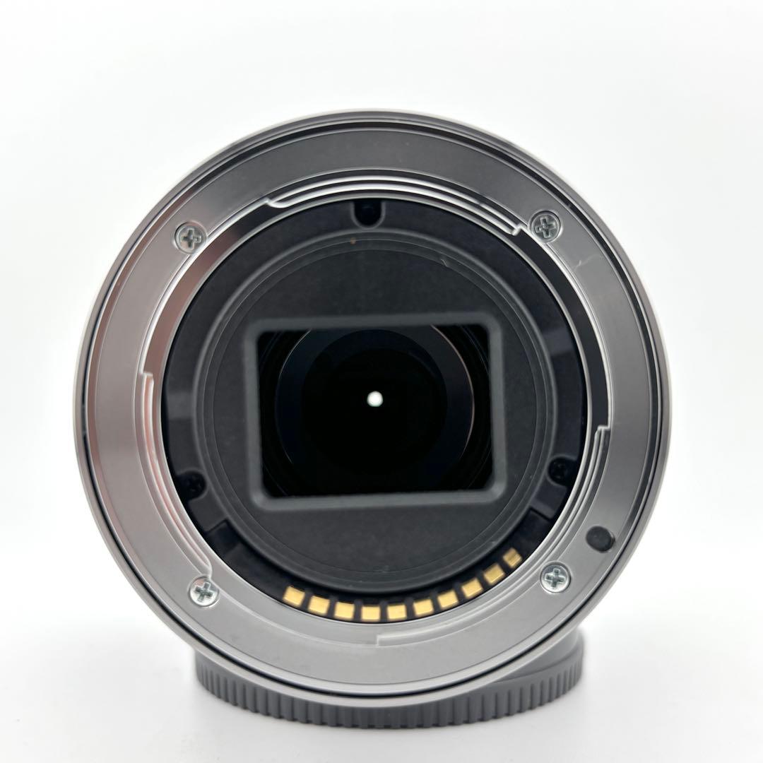 【完動品】SONY E 55-210mm F4.5-6.3 SEL55210