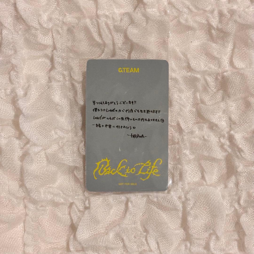 &TEAM HARUA ハルア BtL ショケ SHOWCASE トレカ - メルカリ