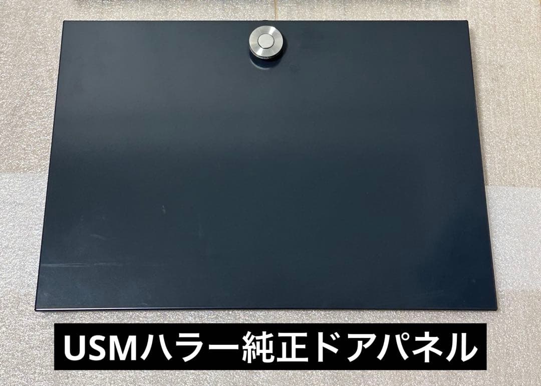 USMハラー純正 ドロップダウン/エクステンション兼用ドアパネル