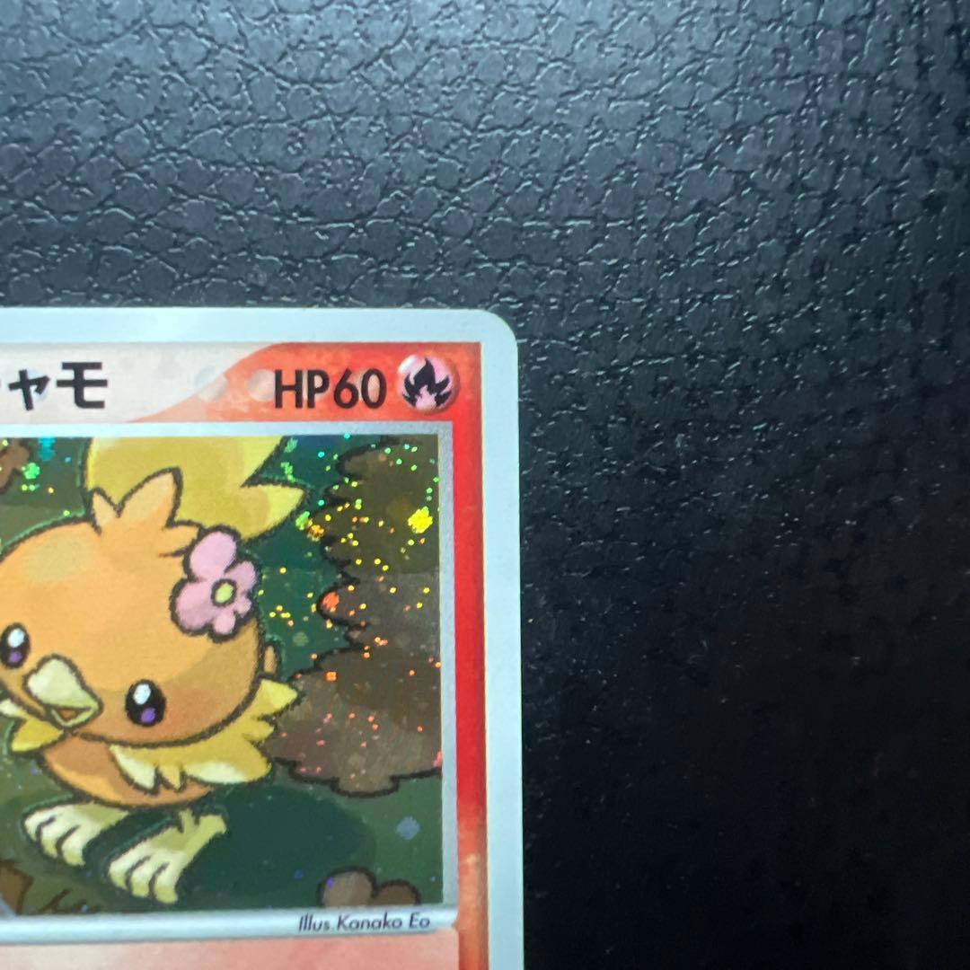 早いもの勝ち ポケパークのアチャモ - メルカリ