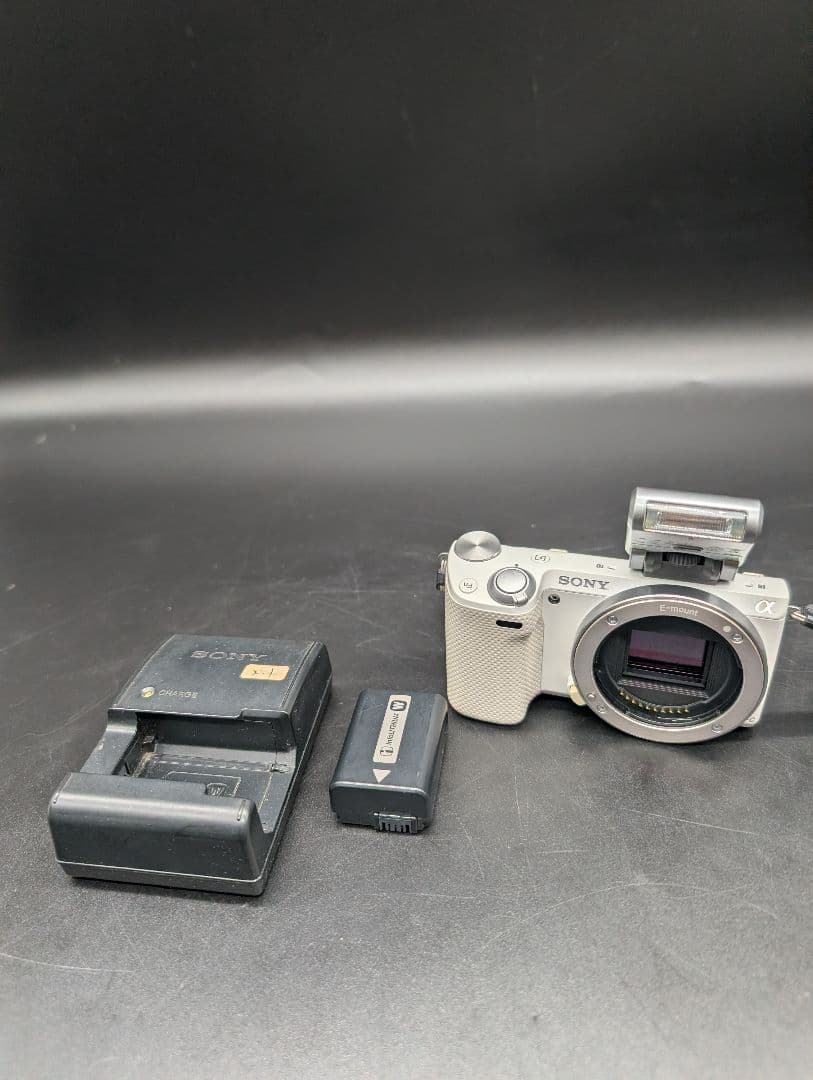 SONY α NEX-5R ミラーレスカメラ 本体 Amazon.co.jp: SONY ミラーレス一眼 α NEX-5R パワーズームレンズ