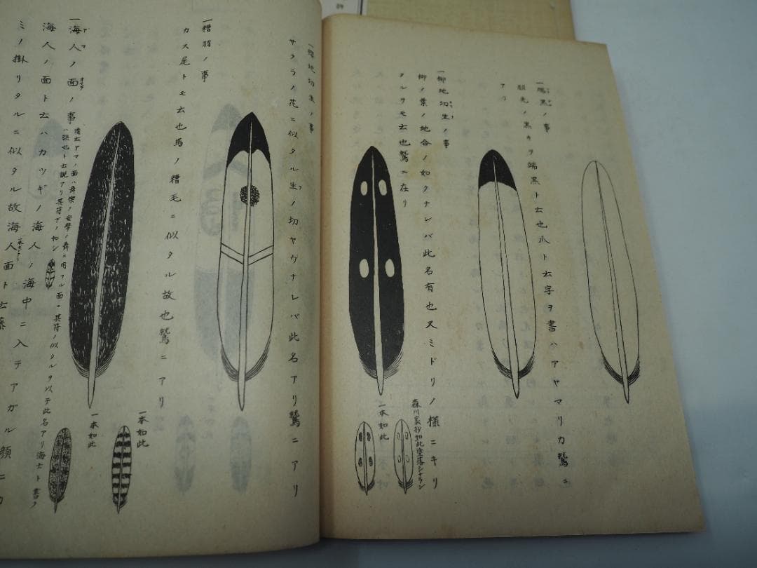 和本 大和流弓道伝書 免許之部一二三四五巻セット