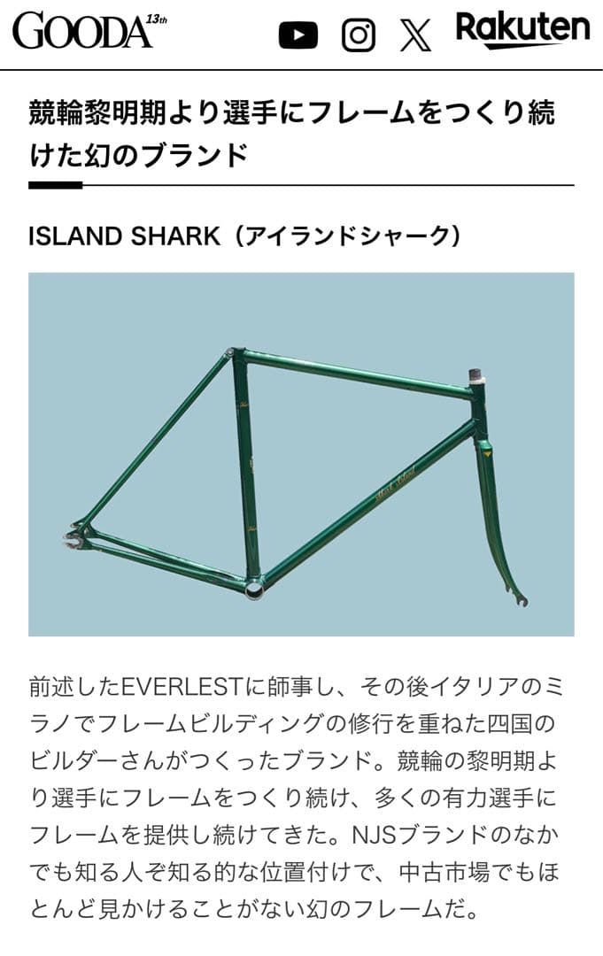 希少‼️ ISLAND SHARK アイランドシャーク ヴィンテージフレーム